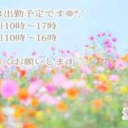 ヒメ日記 2025/08/31 21:02 投稿 あい ファーストレディ(博多)