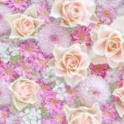 ヒメ日記 2026/01/12 23:17 投稿 せれん ELLE