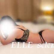 ヒメ日記 2026/02/11 22:00 投稿 せれん ELLE