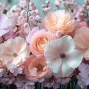 せれん お礼♡ ELLE