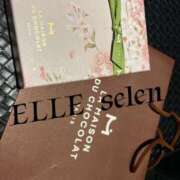 ヒメ日記 2026/03/20 07:42 投稿 せれん ELLE