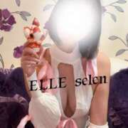 ヒメ日記 2026/08/16 19:14 投稿 せれん ELLE