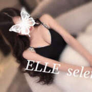 ヒメ日記 2026/10/09 20:34 投稿 せれん ELLE