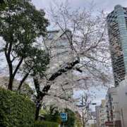 ヒメ日記 2025/04/05 11:01 投稿 安西 このみ イマジン東京