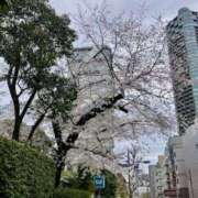 ヒメ日記 2025/04/05 21:12 投稿 安西 このみ イマジン東京