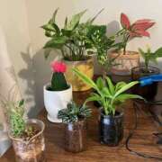 ヒメ日記 2025/04/30 01:25 投稿 安西 このみ イマジン東京