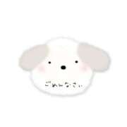 ヒメ日記 2026/02/20 17:25 投稿 ひな 熟女家 東大阪店（布施・長田）