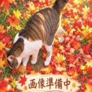 ヒメ日記 2026/10/19 11:33 投稿 ことね 大和ナデシコ～人妻～