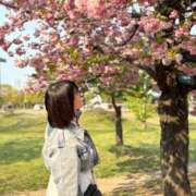 ヒメ日記 2025/04/17 16:15 投稿 つき まじらぶ！