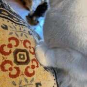 ヒメ日記 2025/04/21 18:45 投稿 もね 中洲秘密倶楽部