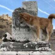 ヒメ日記 2025/11/23 04:25 投稿 もね 中洲秘密倶楽部