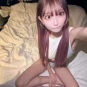 ヒメ日記 2025/12/16 16:30 投稿 ねむ ワンダーホール24