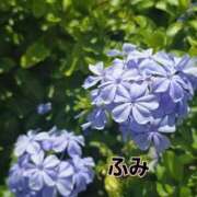 ヒメ日記 2025/08/01 11:00 投稿 ふみ 甲府人妻隊