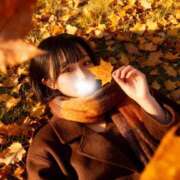 ヒメ日記 2025/11/22 17:51 投稿 蜜 EXE（エグゼ）