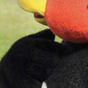 ヒメ日記 2025/11/27 16:19 投稿 蜜 EXE（エグゼ）