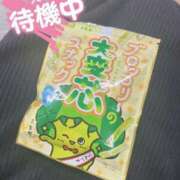 ヒメ日記 2025/08/20 22:20 投稿 あい 人妻の輝き(大阪)