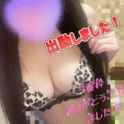ヒメ日記 2026/07/09 23:50 投稿 あゆみ 人妻の輝き(大阪)