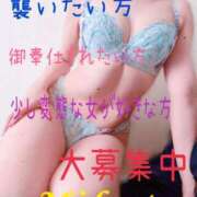ヒメ日記 2026/07/29 07:20 投稿 みこと 人妻の輝き(大阪)