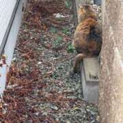 ヒメ日記 2025/10/12 17:20 投稿 まどか 人妻の輝き(大阪)