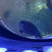 ヒメ日記 2026/03/30 20:50 投稿 まどか 人妻の輝き(大阪)