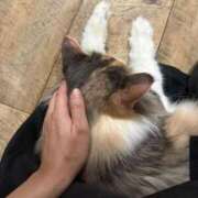 ヒメ日記 2026/04/04 13:54 投稿 まどか 人妻の輝き(大阪)