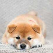 ヒメ日記 2025/12/11 09:20 投稿 りえ 人妻の輝き(大阪)