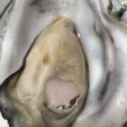 ヒメ日記 2025/04/14 19:58 投稿 ☆なり☆ ◆プラウディア◆AAA級素人娘在籍店