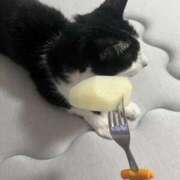 ヒメ日記 2025/08/14 22:48 投稿 ☆なり☆ ◆プラウディア◆AAA級素人娘在籍店