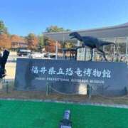 ヒメ日記 2025/12/04 11:08 投稿 ☆なり☆ ◆プラウディア◆AAA級素人娘在籍店