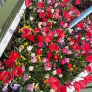 ヒメ日記 2025/05/20 20:17 投稿 高田　みつり クラブダンディー