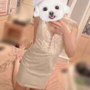 ヒメ日記 2025/07/16 17:07 投稿 高田　みつり クラブダンディー