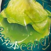 佐藤　すみれ 出勤してます🍇 クラブダンディー