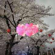 ヒメ日記 2025/04/14 12:48 投稿 ここあ 素敵な女の子は好きですか？