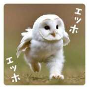 ヒメ日記 2025/04/10 12:04 投稿 ひな タレント倶楽部アダルト