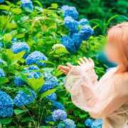 ヒメ日記 2025/04/17 07:58 投稿 ひな タレント倶楽部アダルト