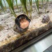 ヒメ日記 2025/04/23 15:18 投稿 ひな タレント倶楽部アダルト