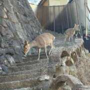 ヒメ日記 2026/02/21 18:46 投稿 のぞみ★キレカワな敏感保育士★ Bell～S級美女お姉様・人妻デリヘル～