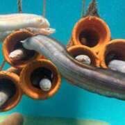 ヒメ日記 2026/02/24 23:09 投稿 のぞみ★キレカワな敏感保育士★ Bell～S級美女お姉様・人妻デリヘル～