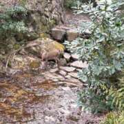 ヒメ日記 2026/02/28 22:06 投稿 のぞみ★キレカワな敏感保育士★ Bell～S級美女お姉様・人妻デリヘル～