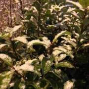 ヒメ日記 2026/03/25 15:04 投稿 のぞみ★キレカワな敏感保育士★ Bell～S級美女お姉様・人妻デリヘル～