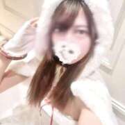 エリカ クリスマス終わっちゃった? マテリアル