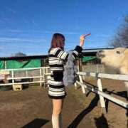 エリカ 明けましておめでとうございます? マテリアル