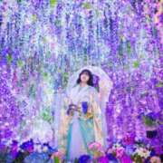 ヒメ日記 2025/11/25 19:54 投稿 みかり チューリップ福井本館