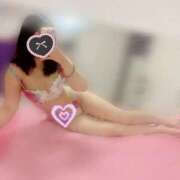 ヒメ日記 2025/11/22 09:04 投稿 みかり チューリップ福井別館