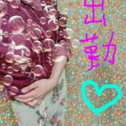 ヒメ日記 2025/04/11 18:24 投稿 雅(みやび) 高知デリヘル倶楽部 人妻熟女専門店