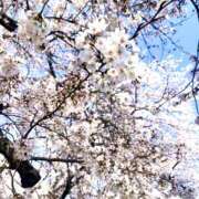 のぞみ ありがとう❀ モアグループ小山人妻花壇