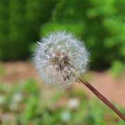 ヒメ日記 2025/05/28 10:11 投稿 そら 所沢デリヘル桜