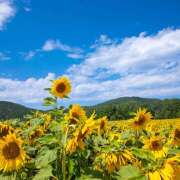 ヒメ日記 2025/07/27 12:02 投稿 そら 所沢デリヘル桜