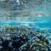 ヒメ日記 2025/08/26 09:27 投稿 そら 所沢デリヘル桜