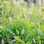 ヒメ日記 2025/09/02 09:24 投稿 そら 所沢デリヘル桜
